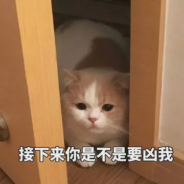接下来你是不是要凶我