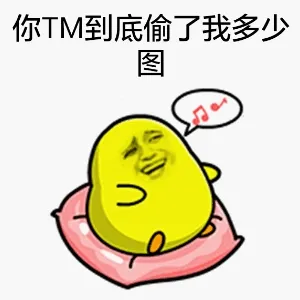 你TM到底偷了我多少图？