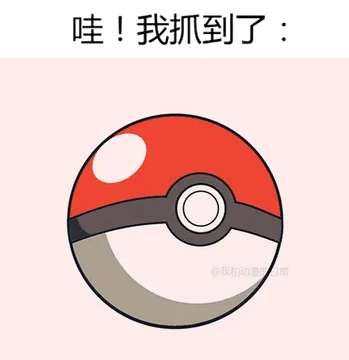 哇！我抓到了！（宠物小精灵）