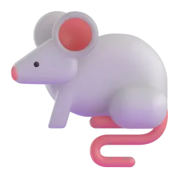 老鼠
