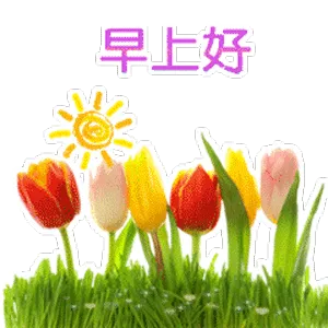 早上好