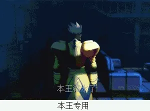 本王潜水了.本王专用!