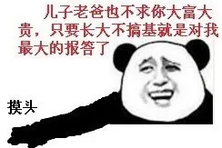 儿子老爸也不求你大富大贵，只要长大不搞基就是对我最大的报答了 摸头
