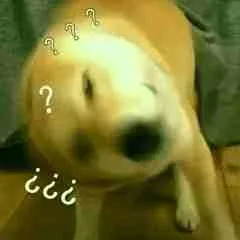 柴犬斗图表情包