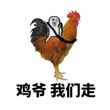 鸡爷，我们走！（公鸡）