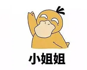 小姐姐(可达鸭)