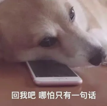 舔狗：回我吧，哪怕只有一句话