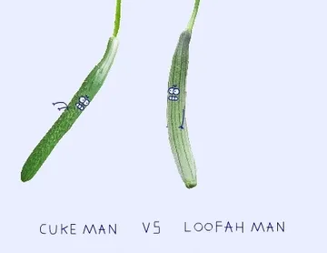 cuke man vs loofan man（黄瓜VS某瓜）