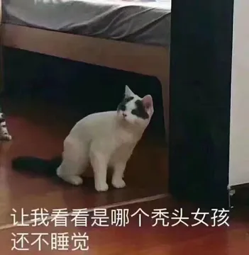 让我看看是哪个秃头.女孩还不睡觉