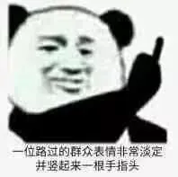 竖中指