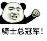 骑士总冠军！