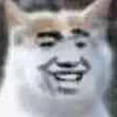 小猫