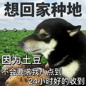 想回家种地000因为土豆不会要求我八点到24小时好的收到