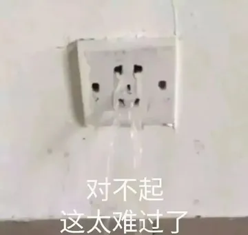 对不起 这太难过了 插座表情包