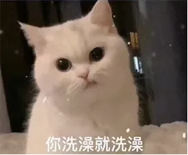 你洗澡就洗澡 说了你也不给我打视频 有什么用呢？