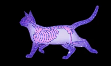 猫猫(骨头)