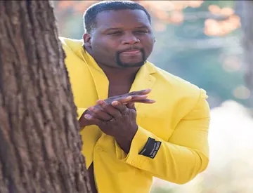 Yellow jacket