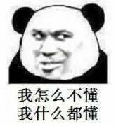 我怎么不懂，我什么都懂！