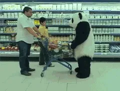 熊猫把购物车踢翻