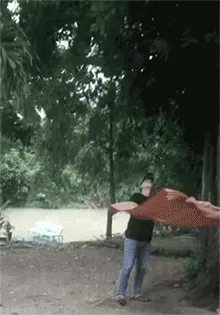 两个人拿凉席接树上猴子，结果猴子摔下来的表情包