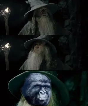Confused Gandalf Rustling