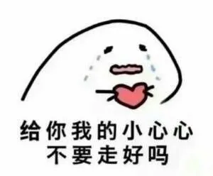 给你我的小心心不要走好吗