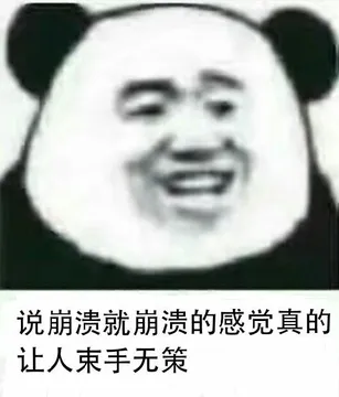 说崩溃就崩溃的感觉.真的让人束手无策