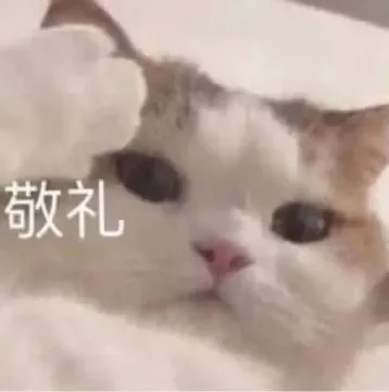 敬礼