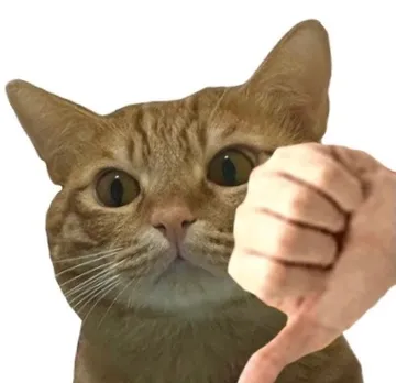 (不行)