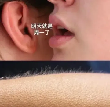 明天就是周一了(汗毛竖起)