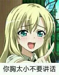 你胸太小不要讲话 - 美女