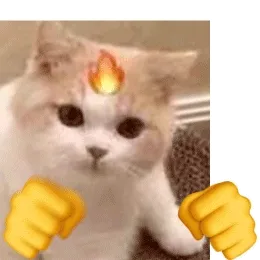 猫猫打拳动图表情包