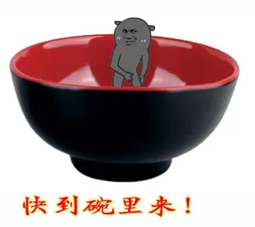 快到碗里来！