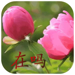 在吗?