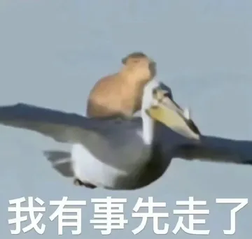 我有事先走了(水豚表情包)