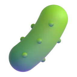 Cucumber