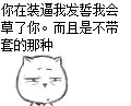 你在装逼我发誓我会草了你。而且是不带套的那种