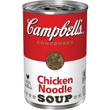 Chicken Noodle Soup