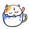 小猫