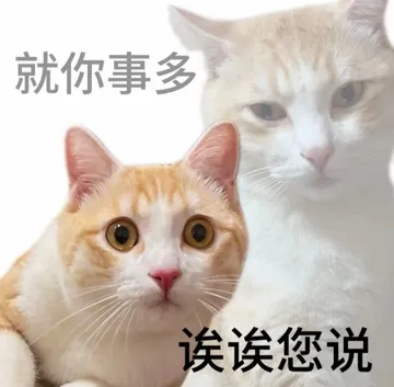职场怼人必备表情包