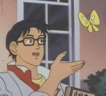 Is this a pigeon?