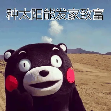 种太阳能发家致富