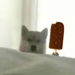 doge狗狗拿雪糕动图表情包
