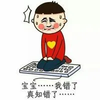 宝宝，我错了，真知道错了（跪键盘）