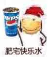 肥宅快乐水(可乐)