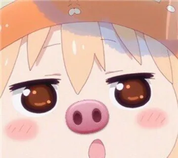 猪