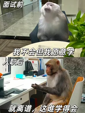 吗喽打工表情包
