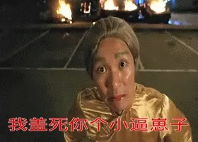 我盖死你个小逼崽子(周星驰)