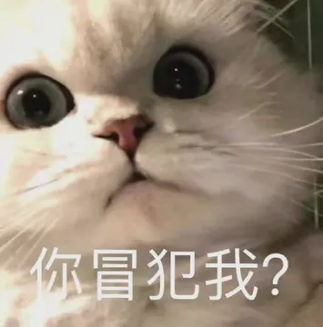 你冒犯我?