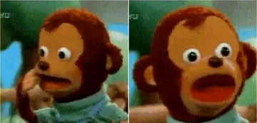 Surprised monkey puppet